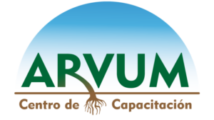 Logotipo de Arvum OTEC